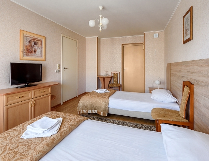 Двухместный номер стандарт I категории "улучшенный" I корпус - Санаторий «Янтарный берег» Светлогорск